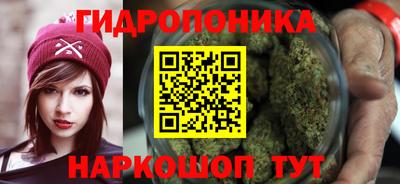 ГАЛЛЮЦИНОГЕННЫЕ ГРИБЫ Беслан