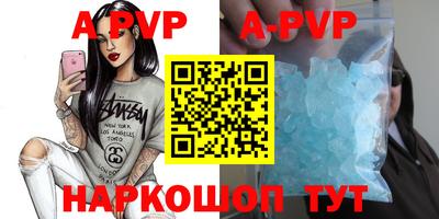 гашик Берёзовский